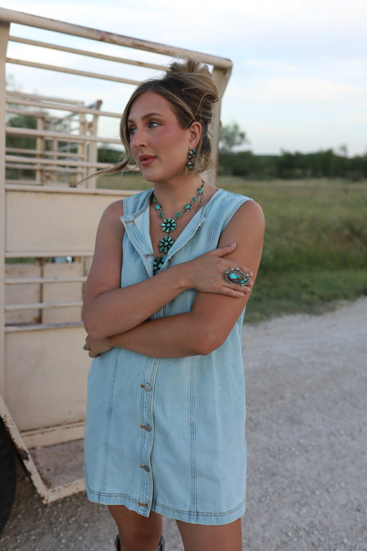 The Dobbs Denim Dress in Light Wash