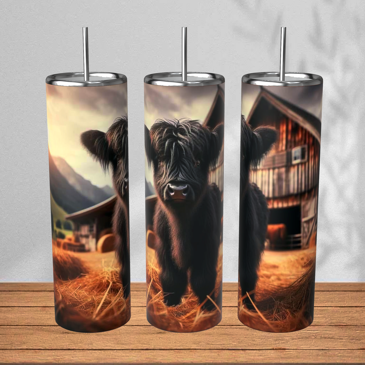 20oz. Double Wall Insulated Tumbler