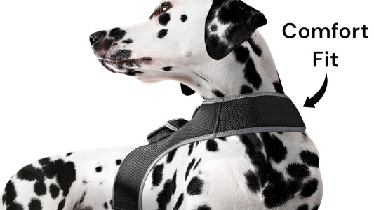 Waterproof Collar Mount Tracker Realtime GPS GSM Puppy Tracking Device Size:L
