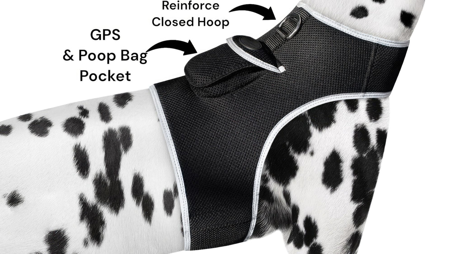 Easy Setup Waterproof Mini GPS Realtime Pet GSM GPRS Tracking Device Size:L