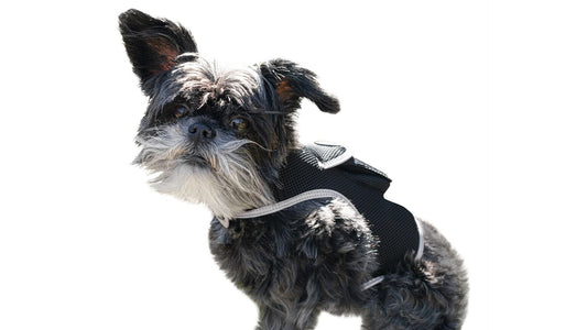 Waterproof GPS Tracker Dog Cat Rechargeable Locator with Battery Alert Size:L
