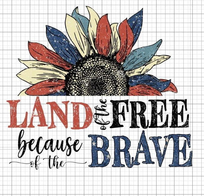 Land of the free sublimation transfer Paper