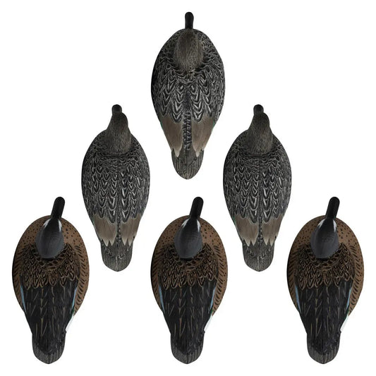 Rugged Series Blue-Winged Teal