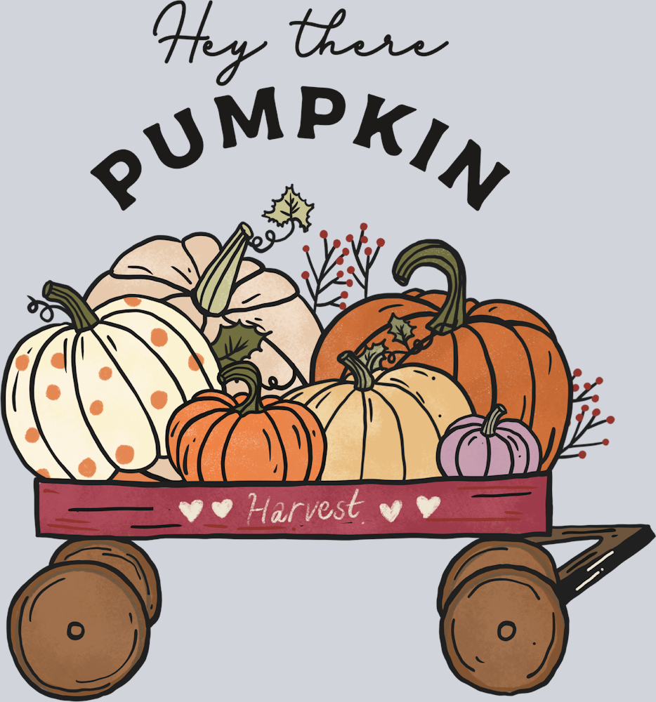 Hey There Pumpkin 2 - STK07201 (DTF Transfers)
