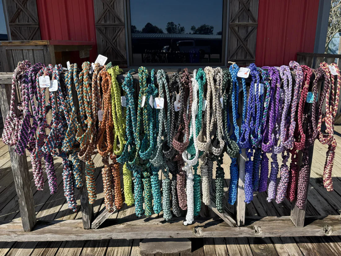 Equine & Tack