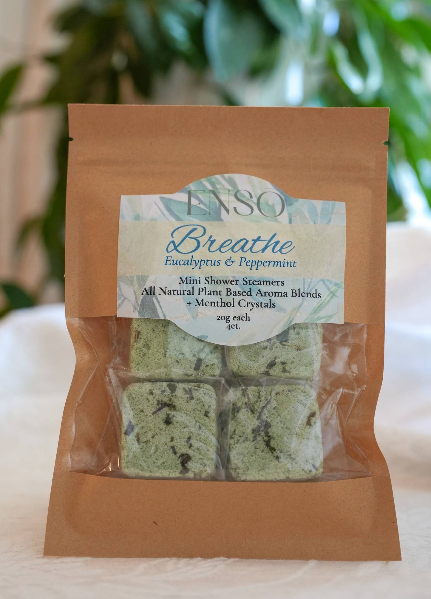 Breathe Aromatherapy Menthol Shower Steamers Gift Set