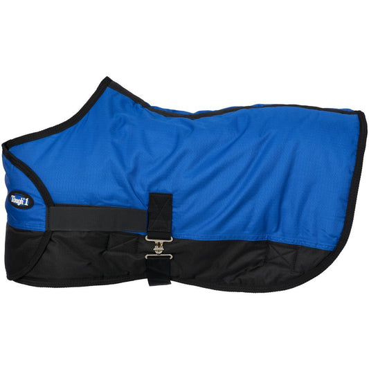 Royal Blue Foal Blanket