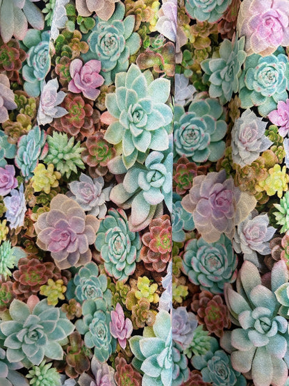 Succulent Vintage Dress - XS only, 1 left!