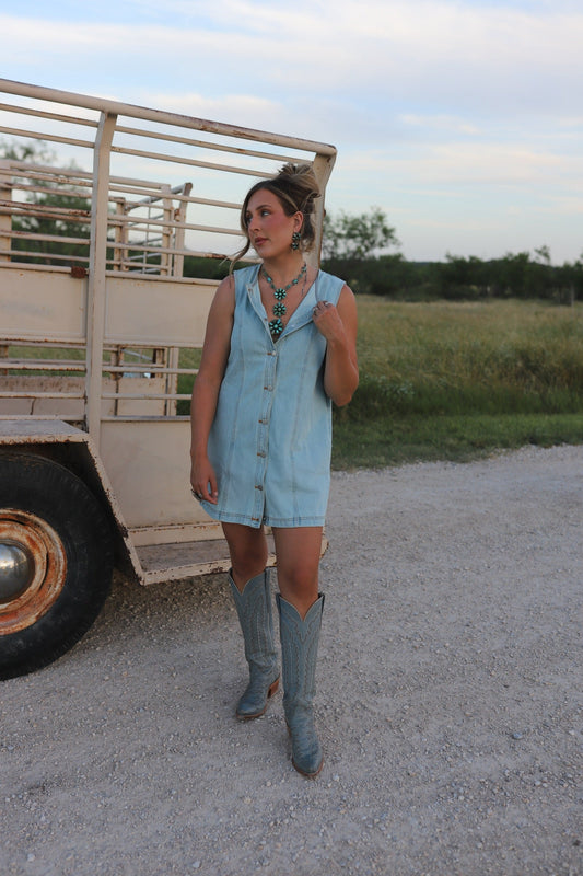 The Dobbs Denim Dress in Light Wash