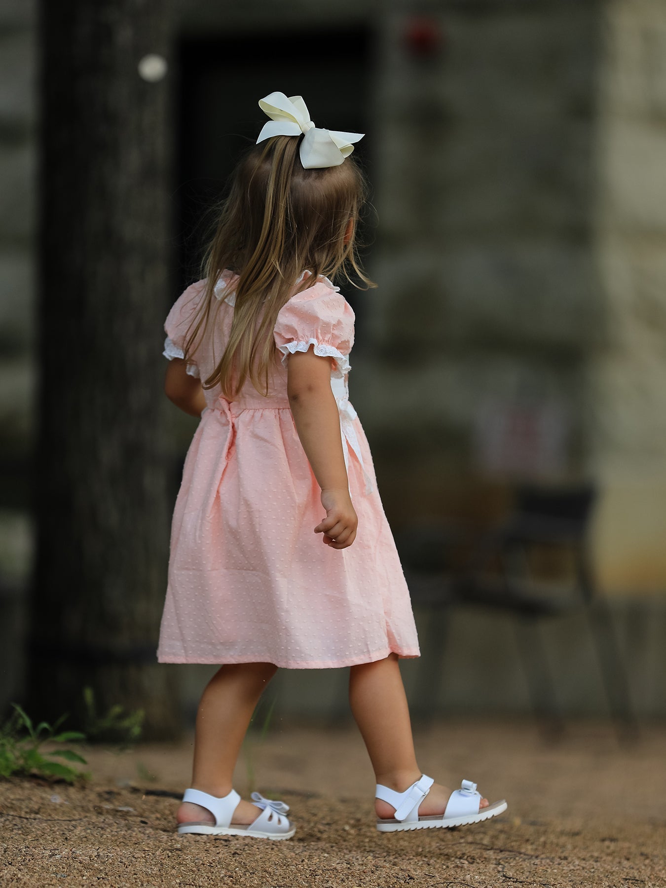 Western Horse Embroidery Girls Dress Lace Petals Collar Puff Sleeve