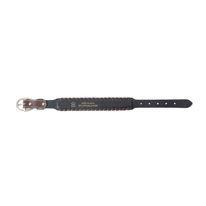 Freedom Trail Dog Collar In Black & Turquoise