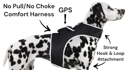 Waterproof GPS Tracker Dog Cat Rechargeable Locator with Battery Alert Size:L