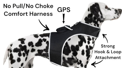 Waterproof Mini Pet Location Finder w/ Pet GPS Tracking Cell Phone App Size:M