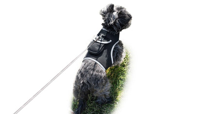 Waterproof Mini Pet Location Finder w/ Pet GPS Tracking Cell Phone App Size:M