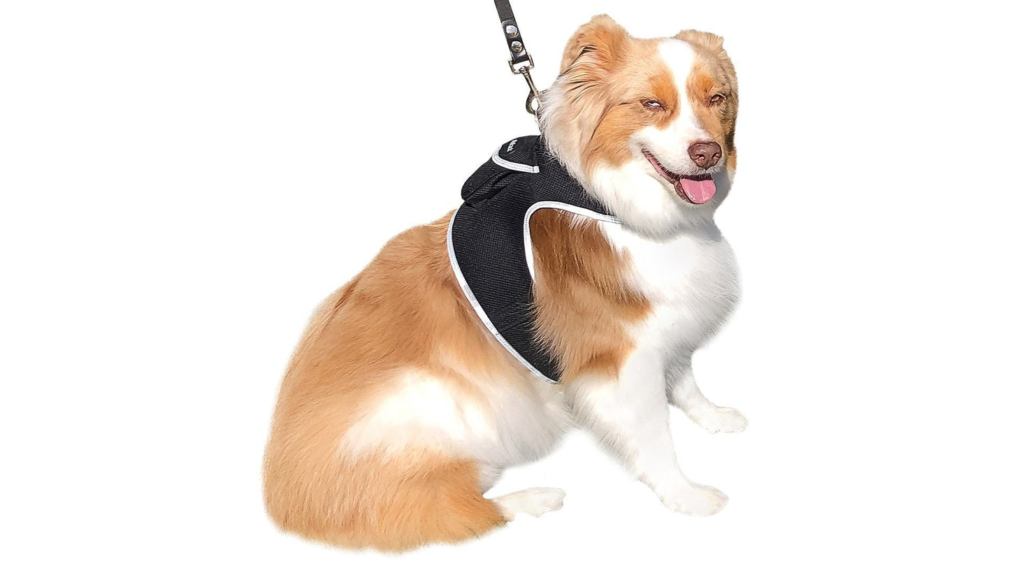 Consistent Realtime Mini Cat Dog GPS Tracking Collar Waterproof Device Size:L