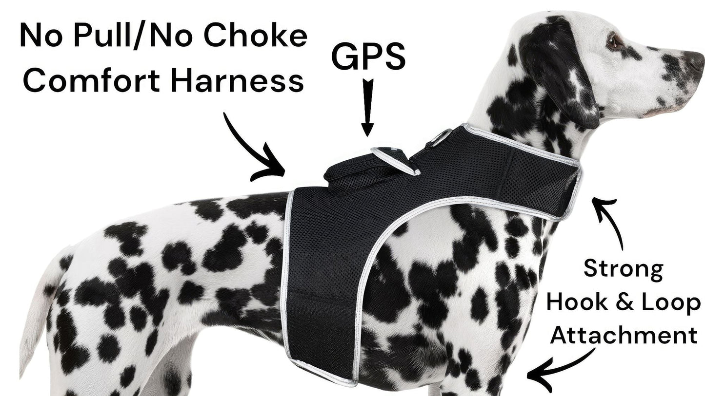 Collar Rechargeable Portable GPS Tracking Devices for Pets GSM Locator Size:S