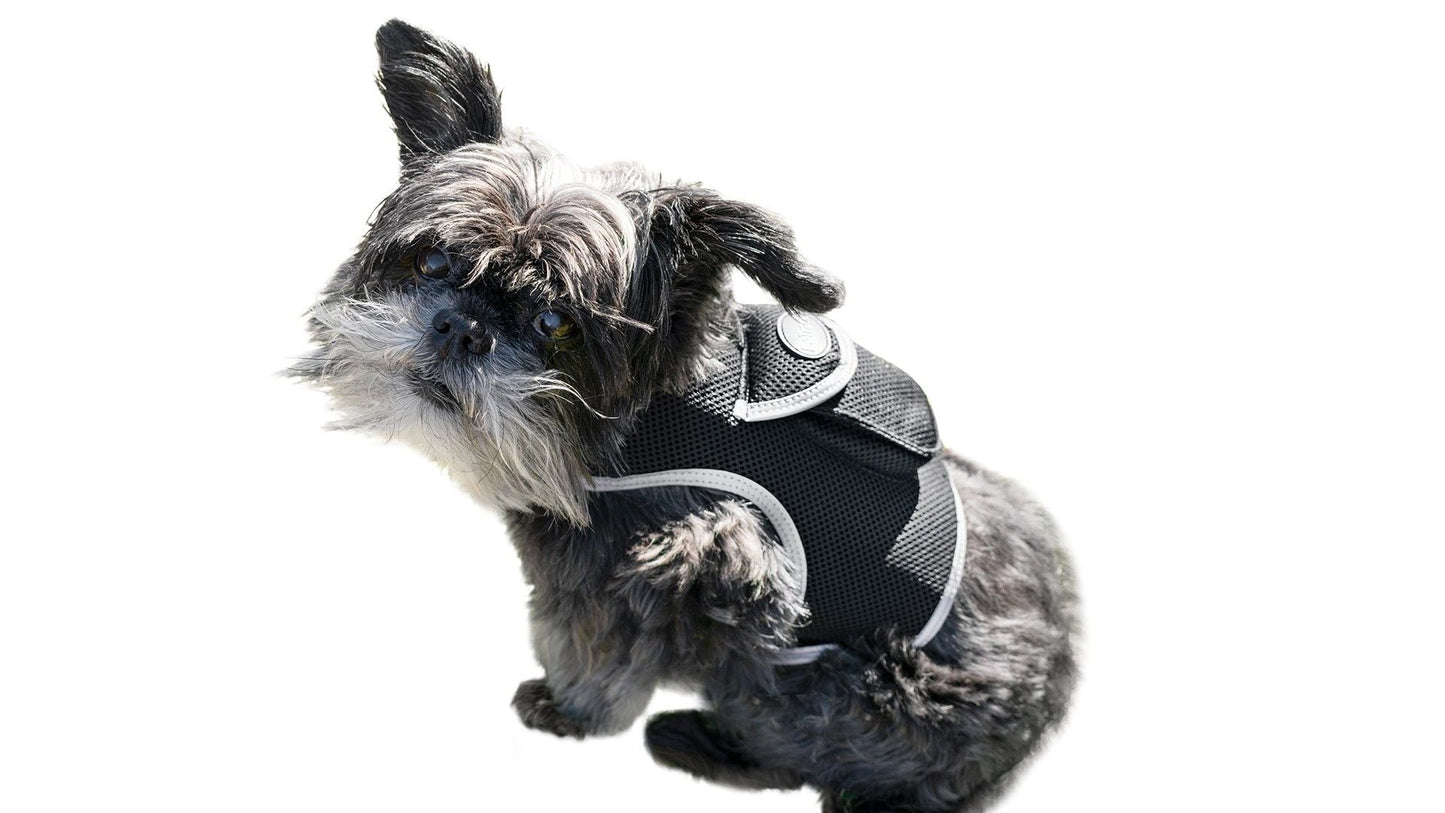 Easy Setup Waterproof Mini GPS Realtime Pet GSM GPRS Tracking Device Size:L