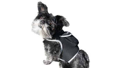 GPS Rechargeable Tracking Device for Pets Realtime Surveillance System Size:XXL
