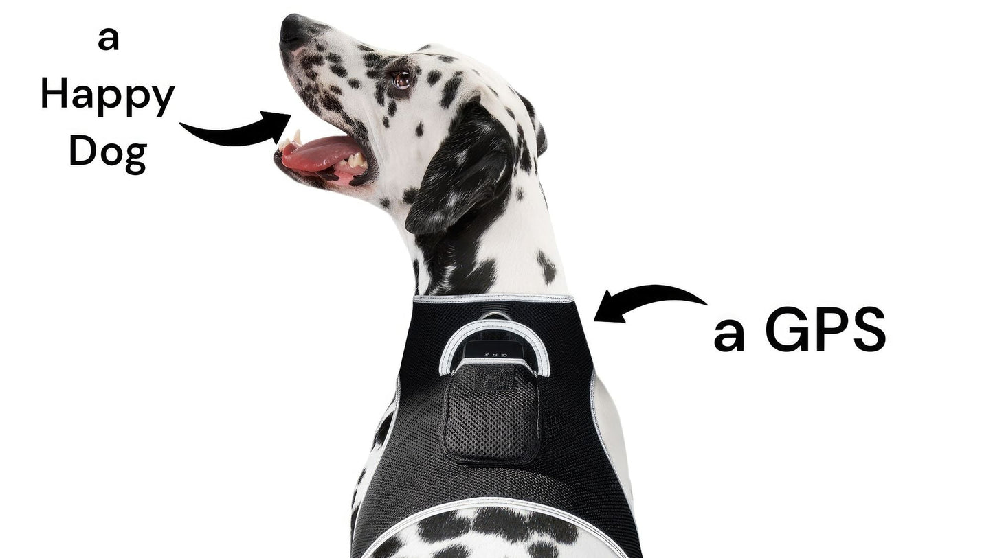 Waterproof Collar Mount Tracker Realtime GPS GSM Puppy Tracking Device Size:L