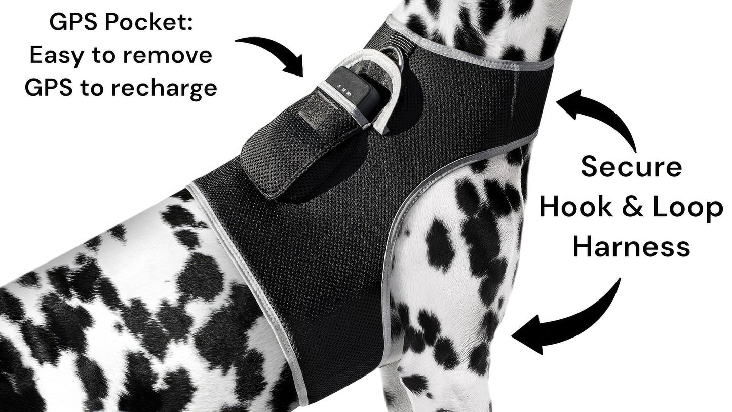 Collar Rechargeable Portable GPS Tracking Devices for Pets GSM Locator Size:XS