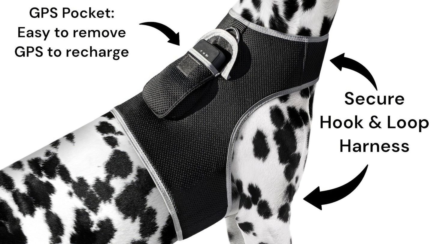Consistent Realtime Mini Cat Dog GPS Tracking Collar Waterproof Device Size:L