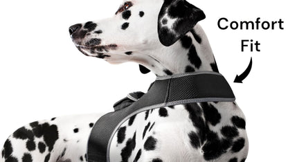Waterproof Collar Mount Tracker Realtime GPS GSM Puppy Tracking Device Size:L