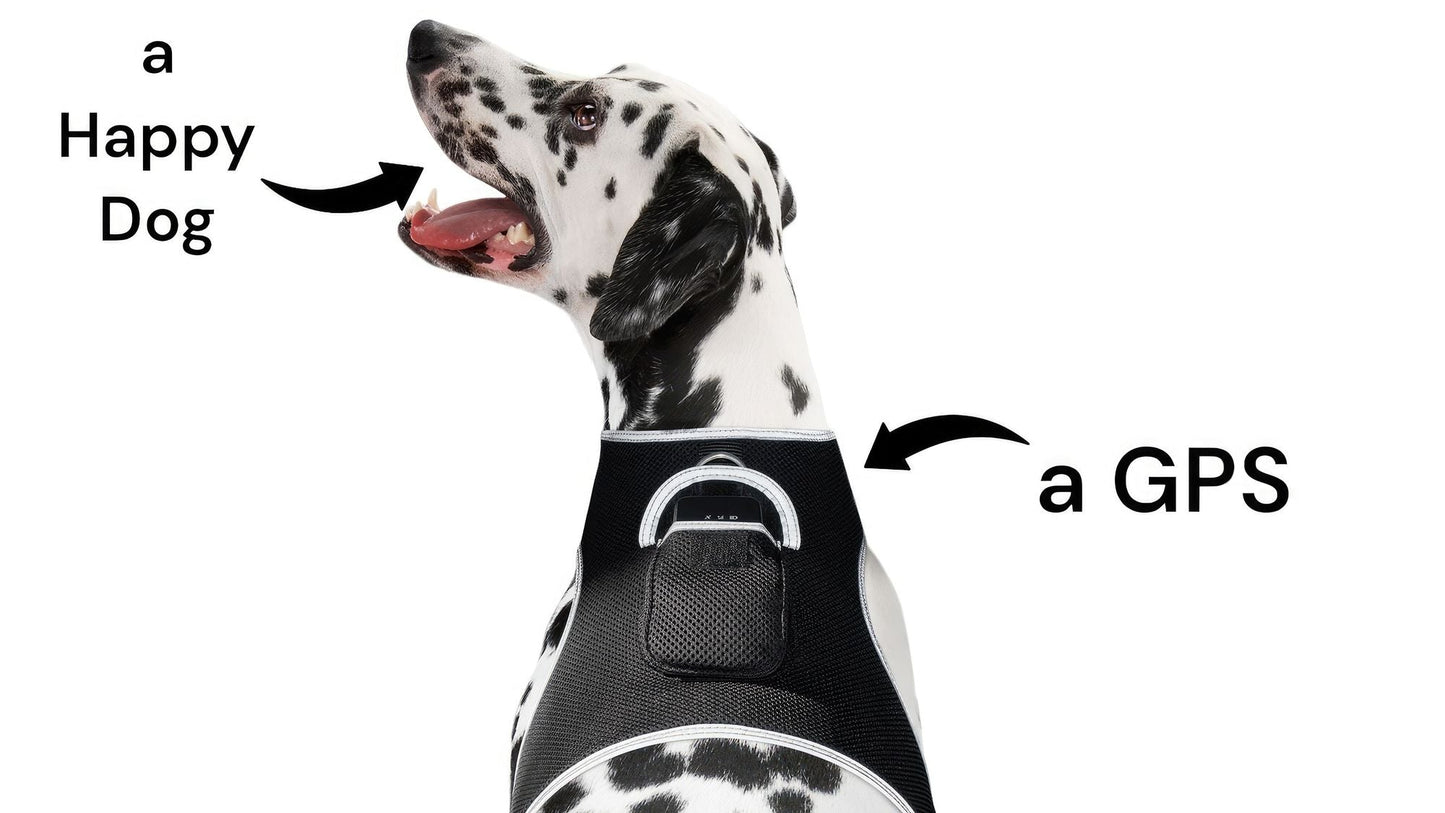 Keep Pet Safe with Pet Tracker GPS Dog Collar Tracking Device + Phone App Size:M