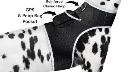 Collar Rechargeable Portable GPS Tracking Devices for Pets GSM Locator Size:XS