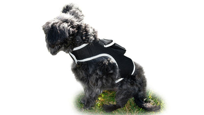 GSM GPS Animal Tracker Collar Attached Rechargeable Realtime Surveillance Gadget Size:XXL