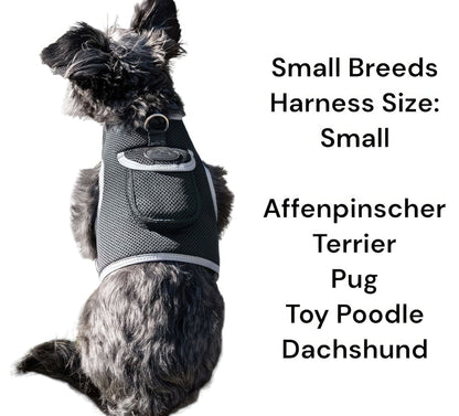 Keep Pet Safe with Pet Tracker GPS Dog Collar Tracking Device + Phone App Size:M