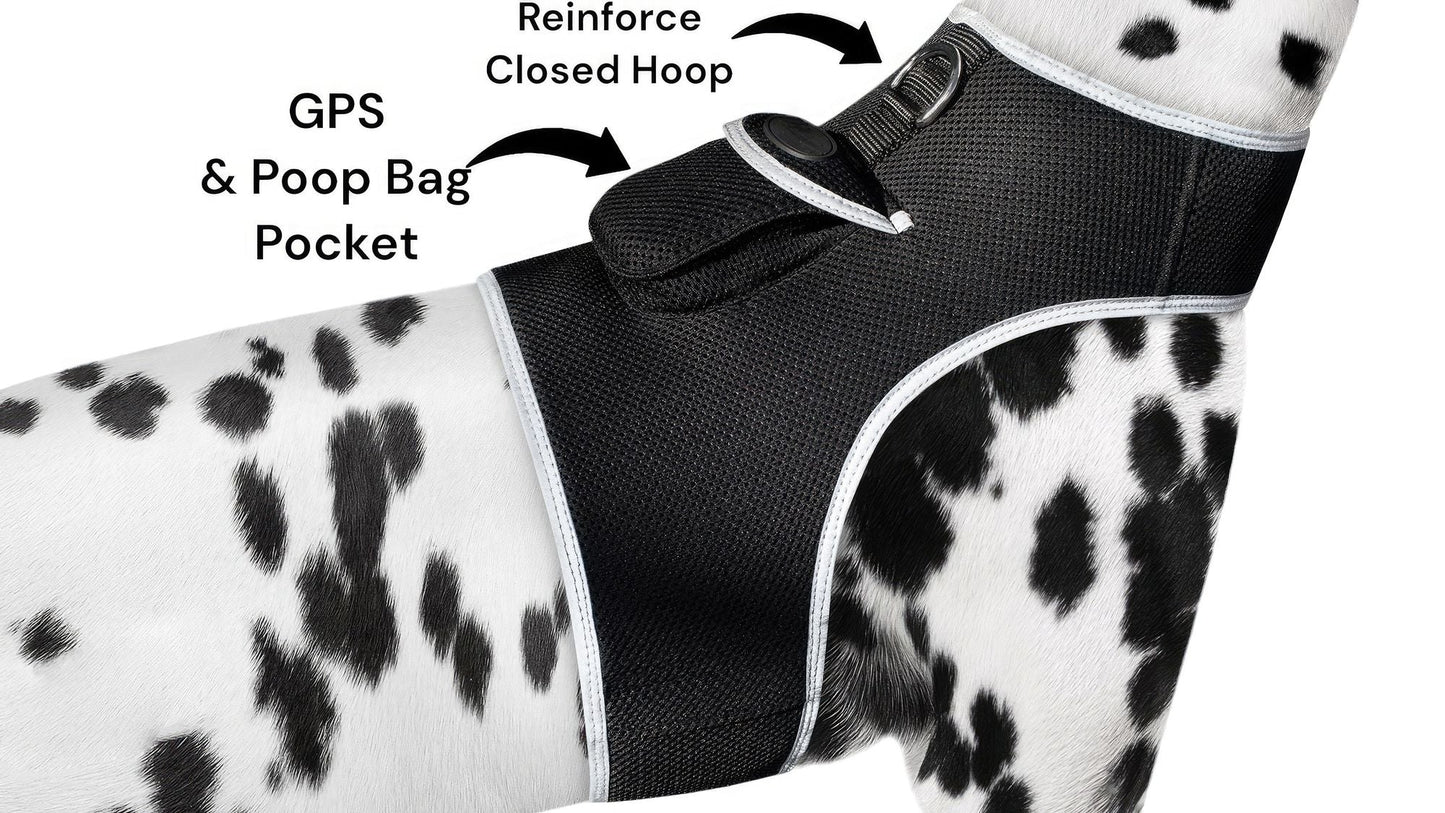 GPS Rechargeable Tracking Device for Pets Realtime Surveillance System Size:XXL