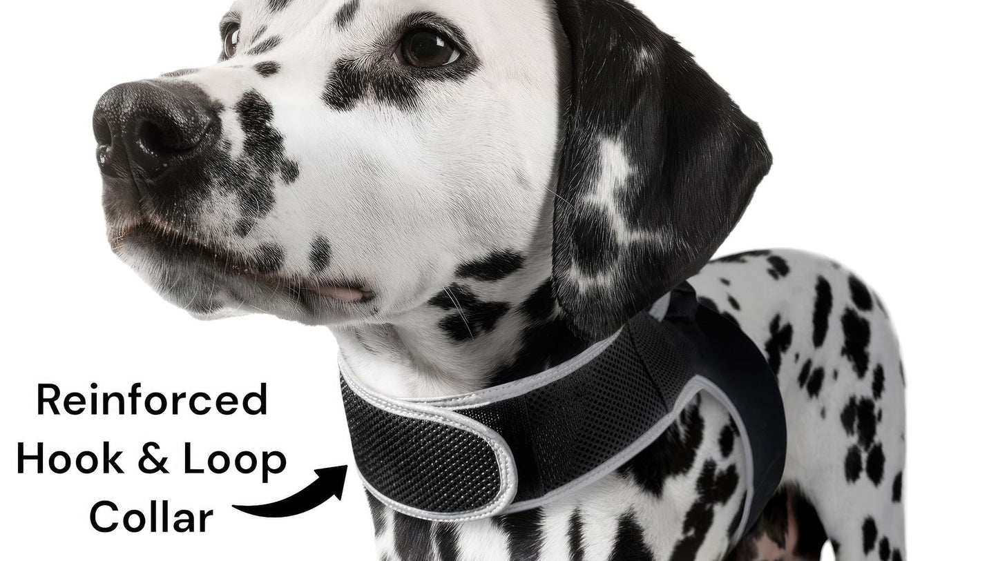 GPS Rechargeable Tracking Device for Pets Realtime Surveillance System Size:XXL