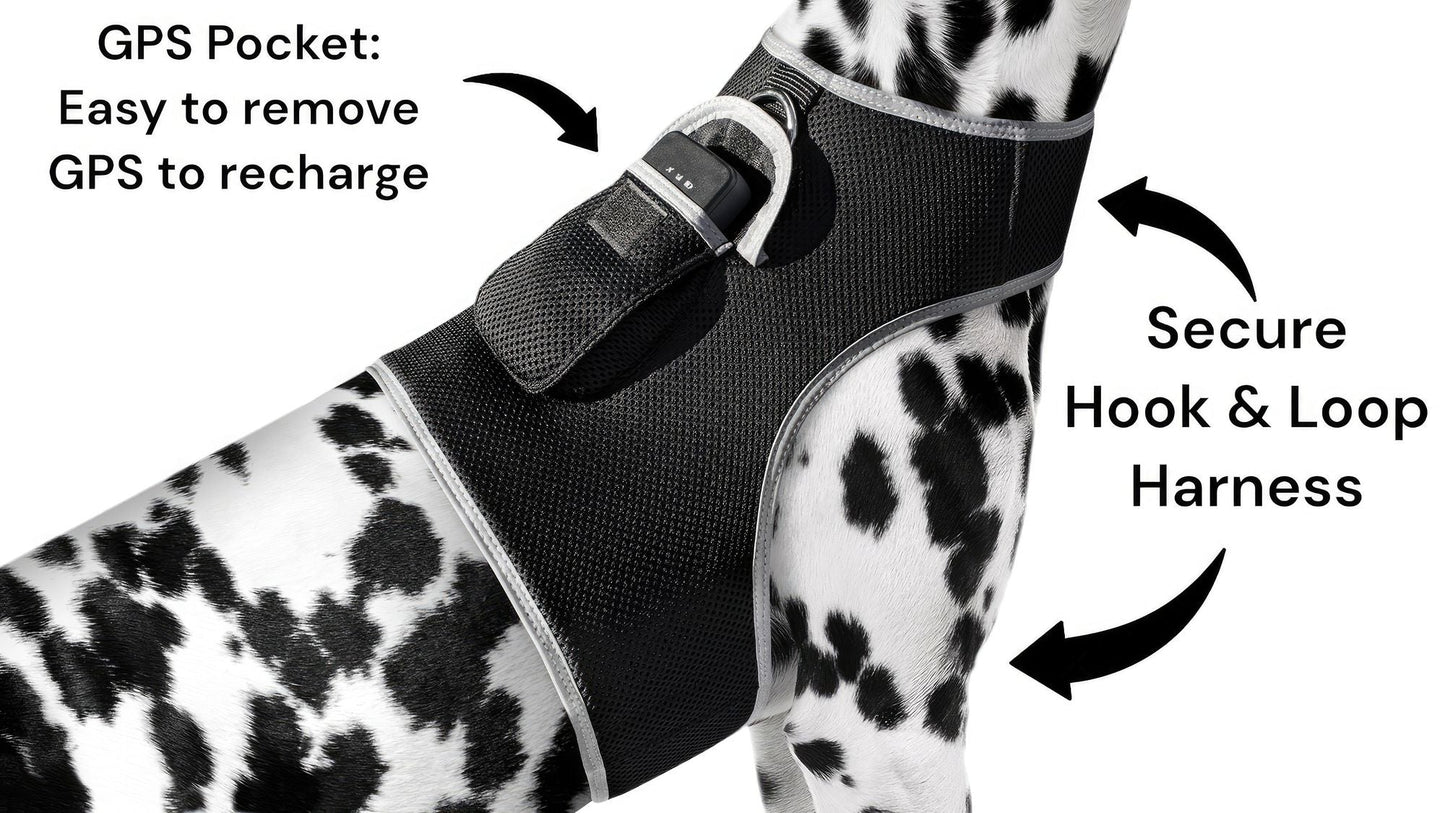 GPS Rechargeable Tracking Device for Pets Realtime Surveillance System Size:XXL