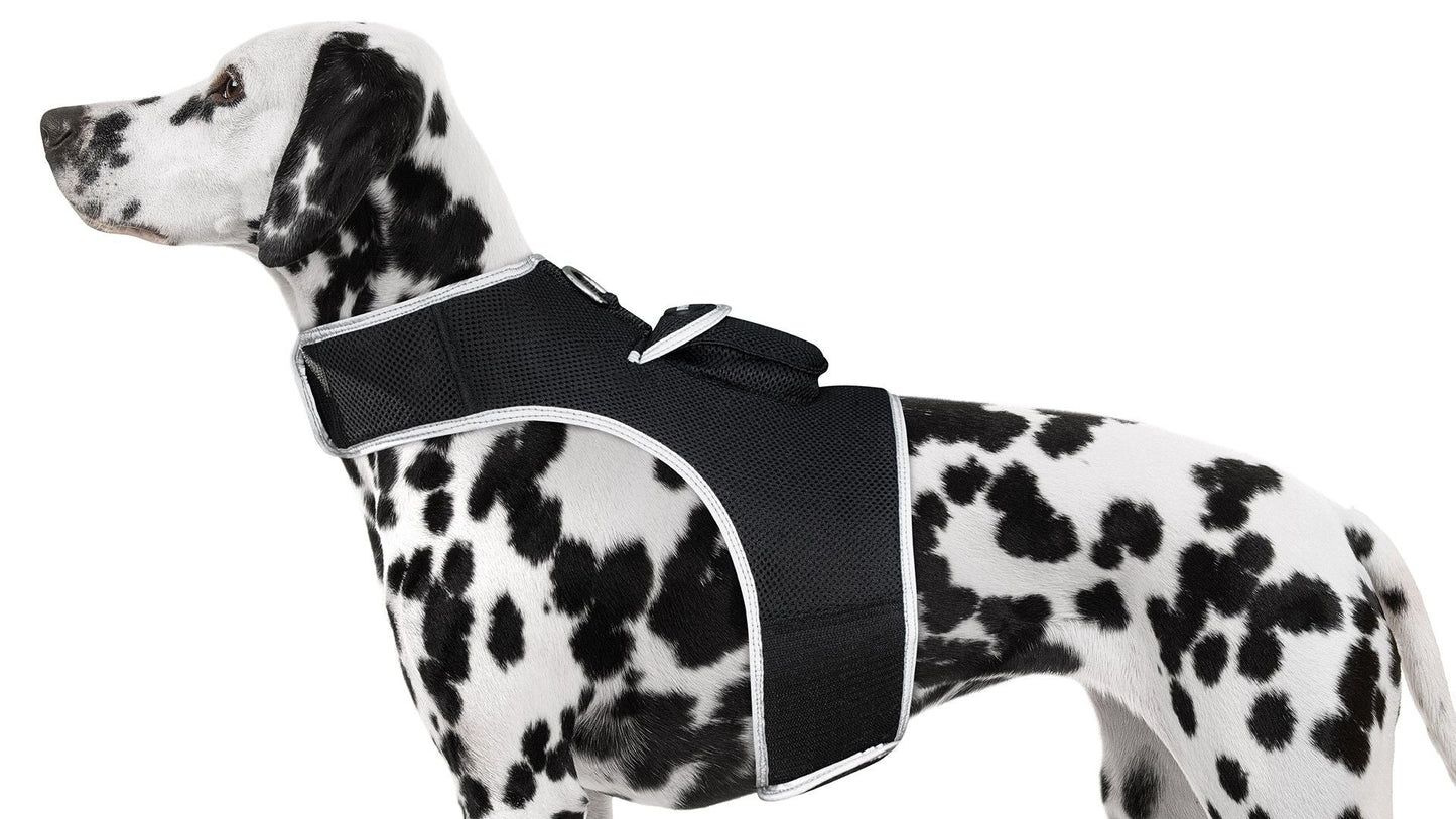 Waterproof Mini Pet Location Finder w/ Pet GPS Tracking Cell Phone App Size:M