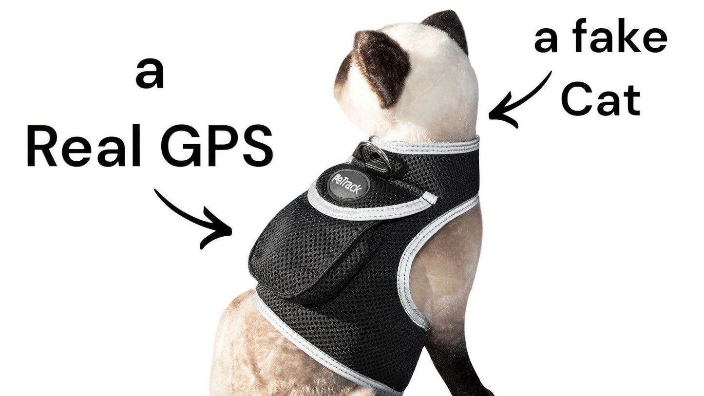 Waterproof Mini Pet Location Finder w/ Pet GPS Tracking Cell Phone App Size:M