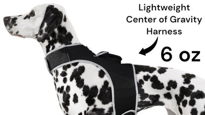 GPS Rechargeable Tracking Device for Pets Realtime Surveillance System Size:XXL