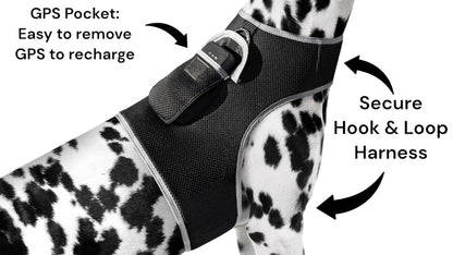 Waterproof Mini Pet Location Finder w/ Pet GPS Tracking Cell Phone App Size:M