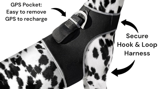 Waterproof GPS Tracker Dog Cat Rechargeable Locator with Battery Alert Size:L