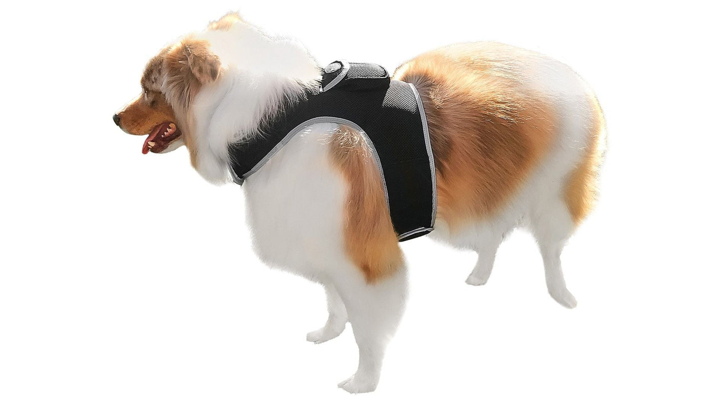 Easy Setup Waterproof Mini GPS Realtime Pet GSM GPRS Tracking Device Size:L