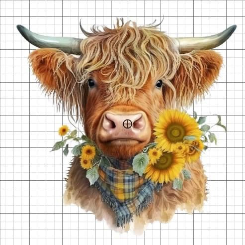 Highlands Cow sublimation transfer Paper