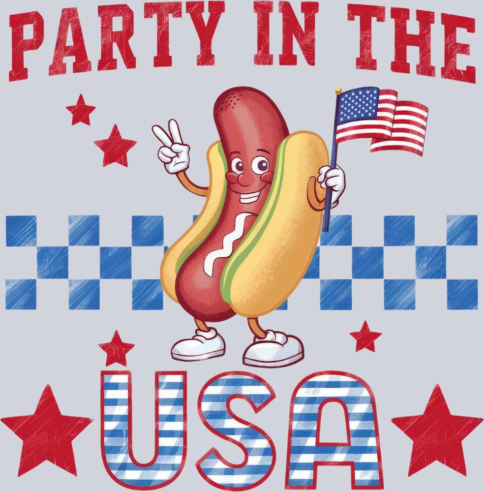 Party In The USA 3 - STK04686 (DTF Transfers)