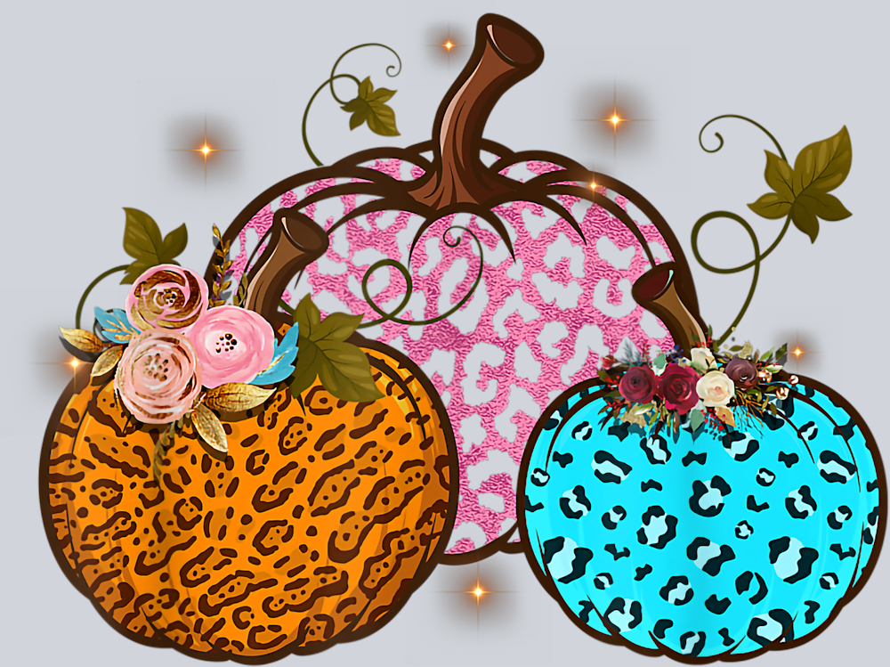 Pumpkins 2 - STK05100 (DTF Transfers)
