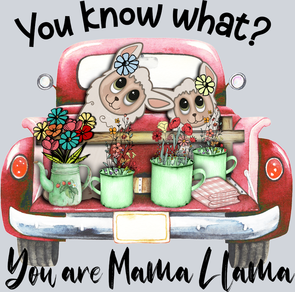 You Know What You Are Mama Llama - STK06593 (DTF Transfers)