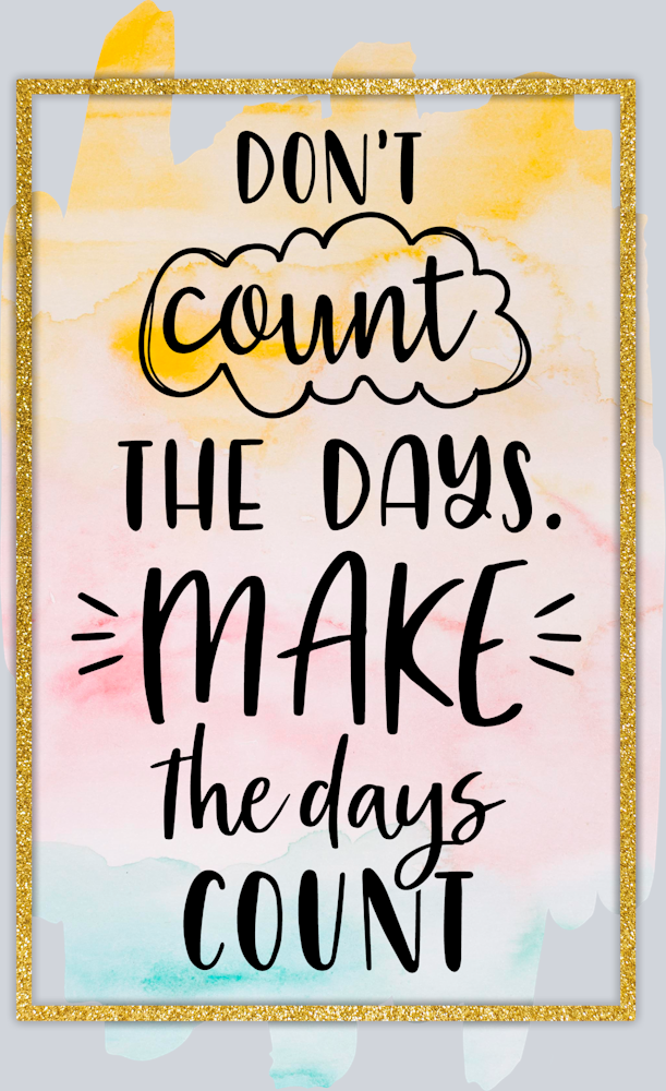 Don't Count The Days Make The Days Count - STK01683 (DTF Transfers)